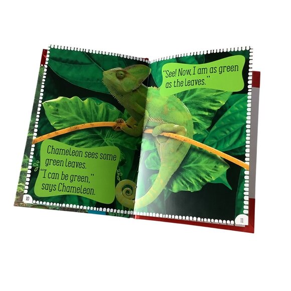 Chameleon Can Hardcover Childrens Book By Rosie Greening Kindergarten Reading To - Picture 6 of 7
